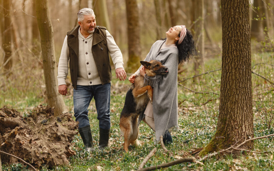Pets and Park Homes – A Perfect Lifestyle for You and Your Furry Friends